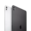 iPad Pro